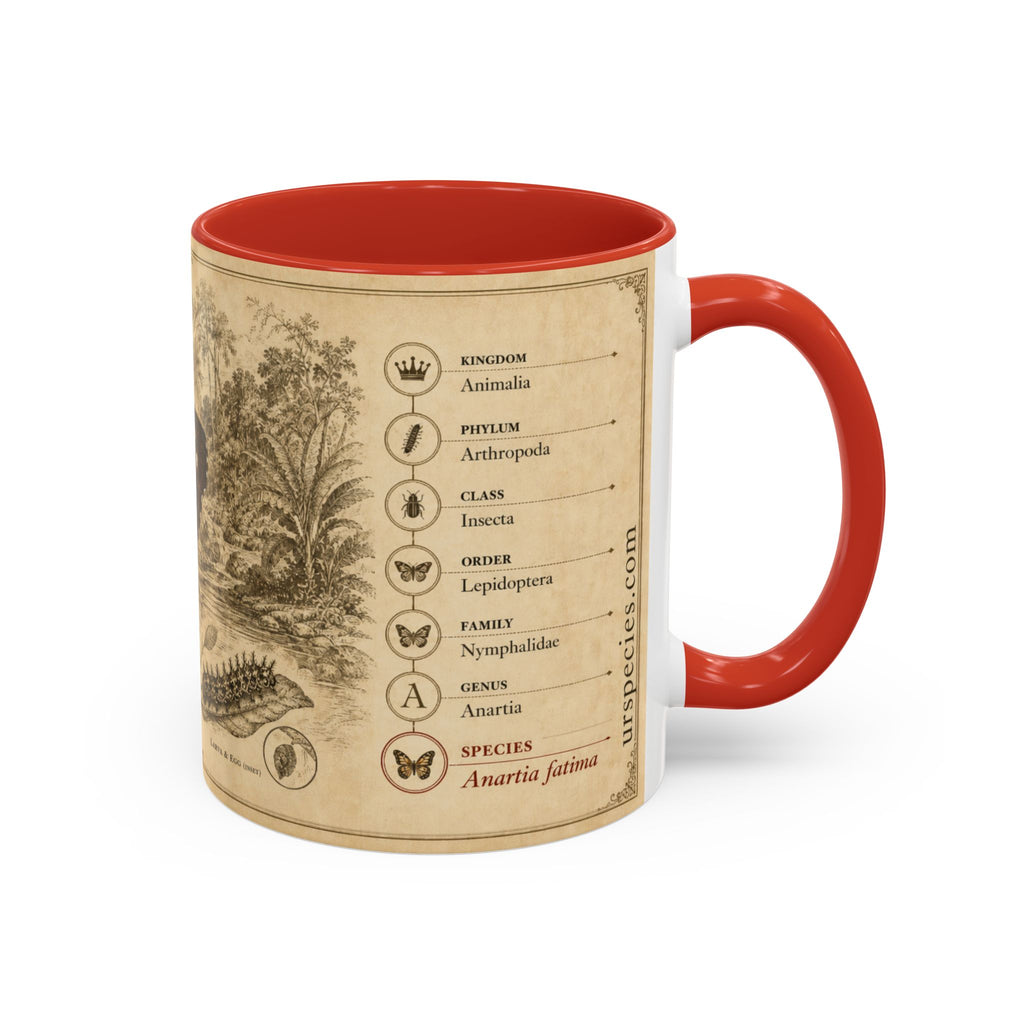 The banded peacock butterfly (Anartia fatima) Coffee Mug — Vintage Mug