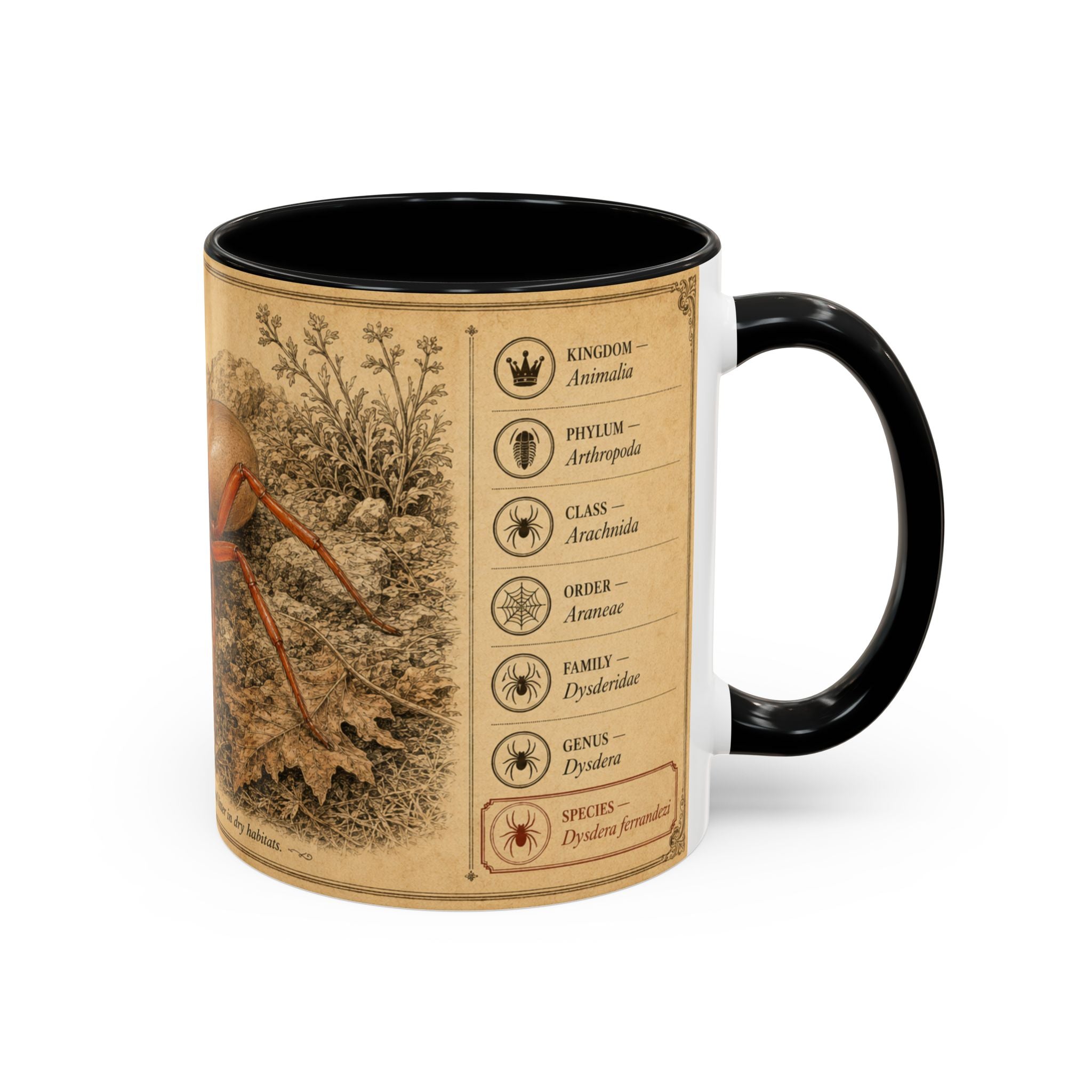 Custom Woodlouse-Hunting Spider Mug – Nature Lover's Gift for Ferran (Dysdera ferrandezi) – Europe/UK