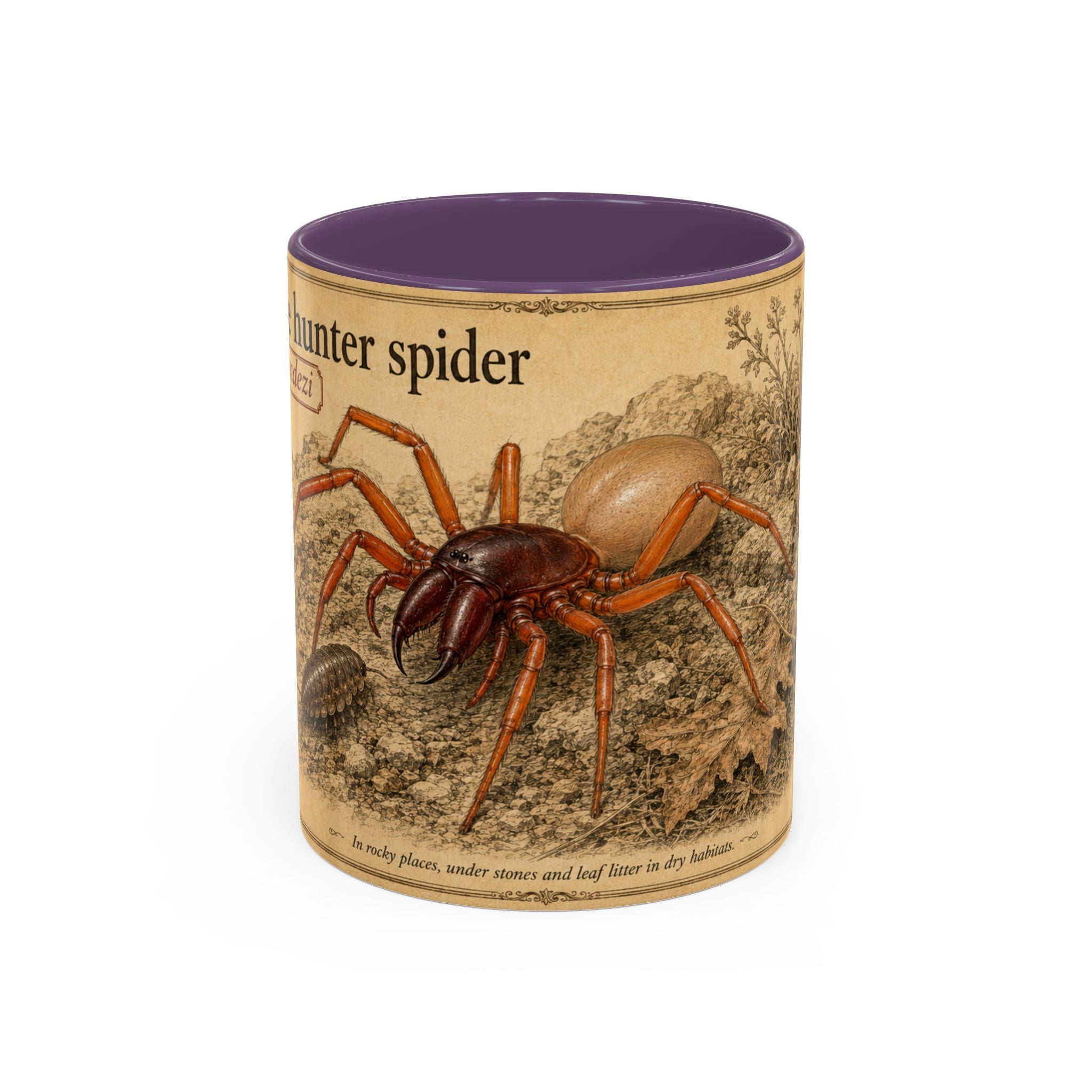 Custom Woodlouse-Hunting Spider Mug – Nature Lover's Gift for Ferran (Dysdera ferrandezi) – Europe/UK