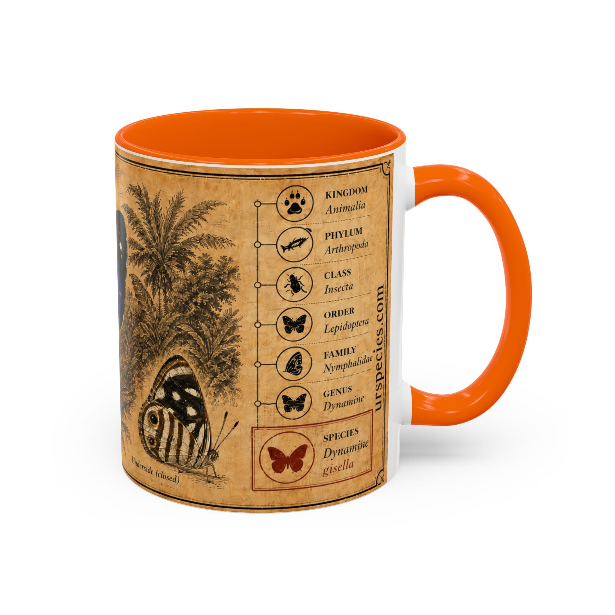 Gisella's Butterfly (Dynamine gisella) Coffee Mug — Vintage Blue Mug