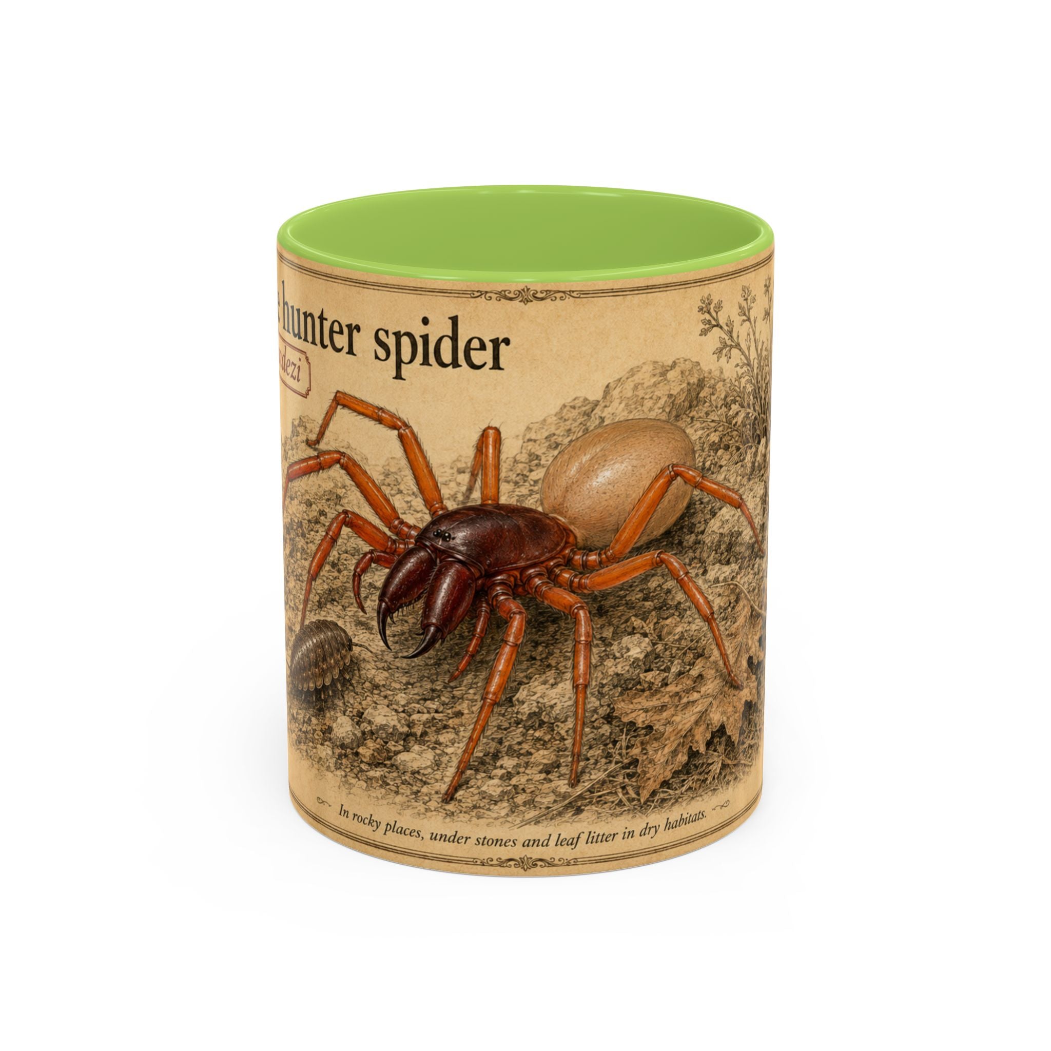 Custom Woodlouse-Hunting Spider Mug – Nature Lover's Gift for Ferran (Dysdera ferrandezi) – Europe/UK