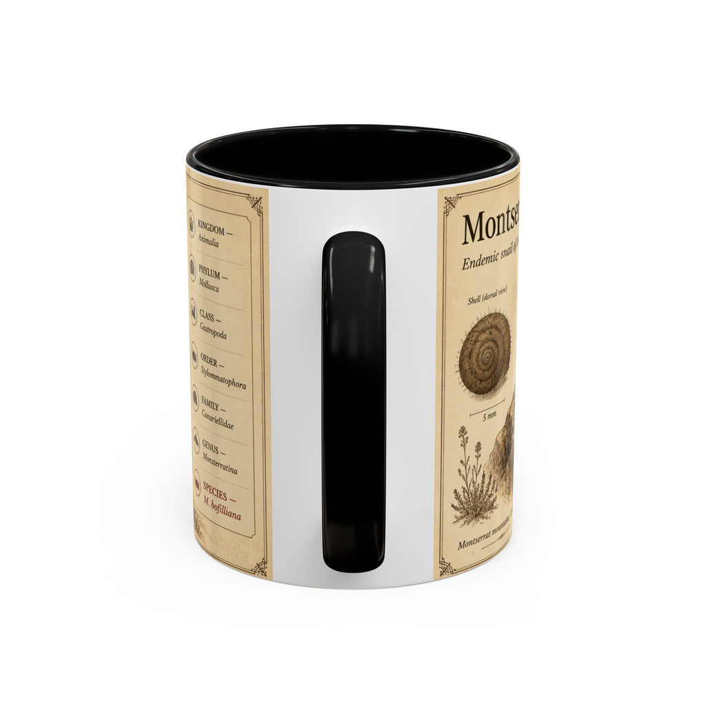 Custom Montserrat Snail Mug – Nature Lover's Gift for Montserrat (Montserratina bofilliana) – Europe/UK