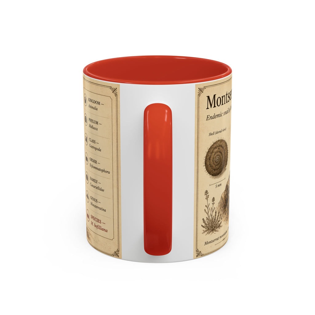 Custom Montserrat Snail Mug – Nature Lover's Gift for Montserrat (Montserratina bofilliana) – Europe/UK