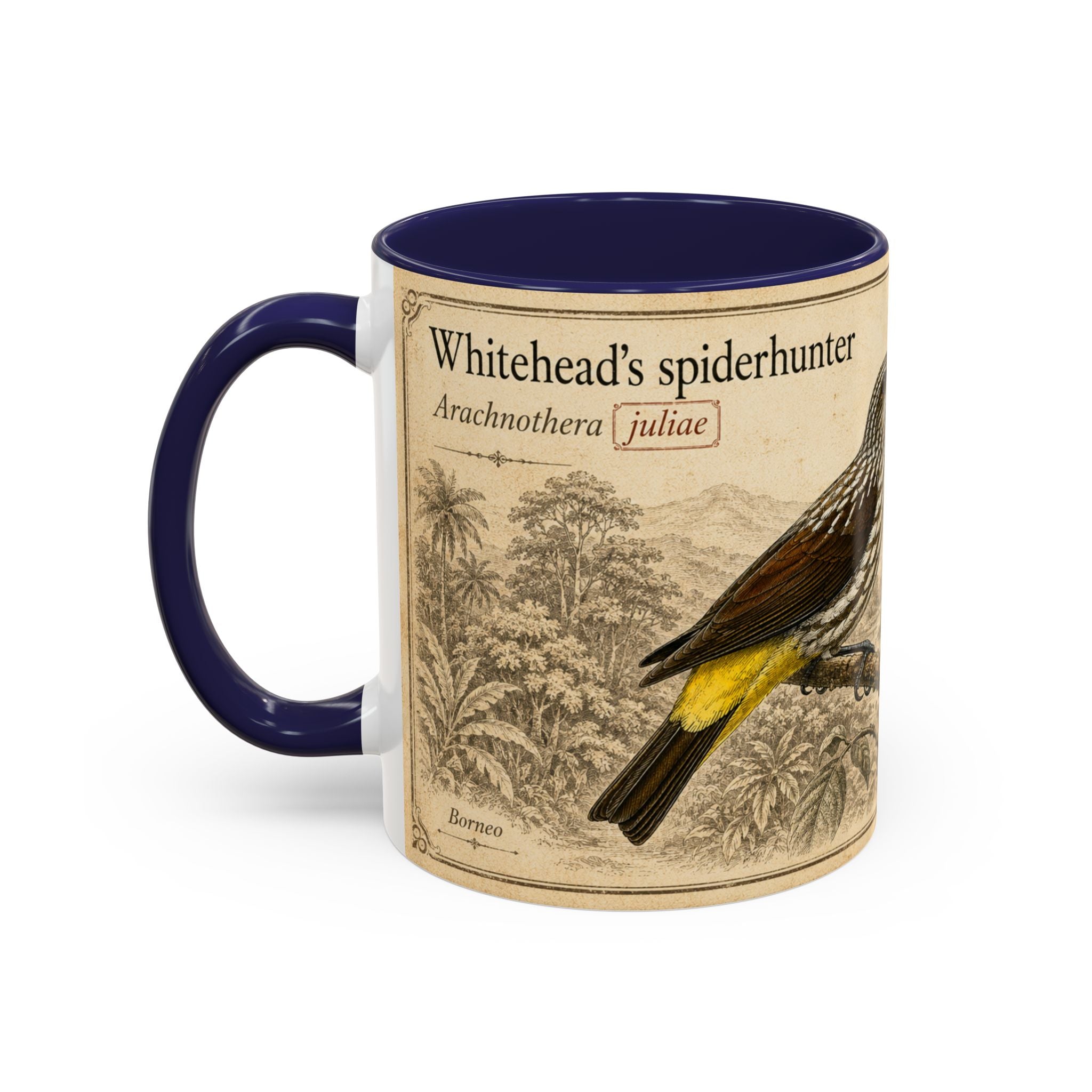 Custom Gift for Julia - Whitehead's spiderhunter (Arachnothera juliae) Nature Lovers Mug  - Europe / UK