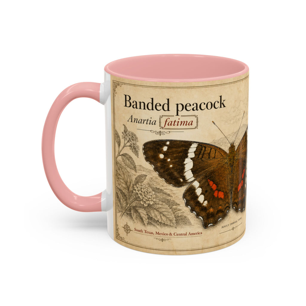 The banded peacock butterfly (Anartia fatima) Coffee Mug — Vintage Mug