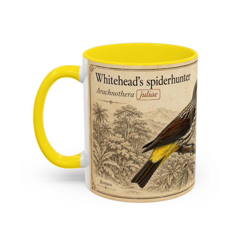 Custom Gift for Julia - Whitehead's spiderhunter (Arachnothera juliae) Nature Lovers Mug  - Europe / UK