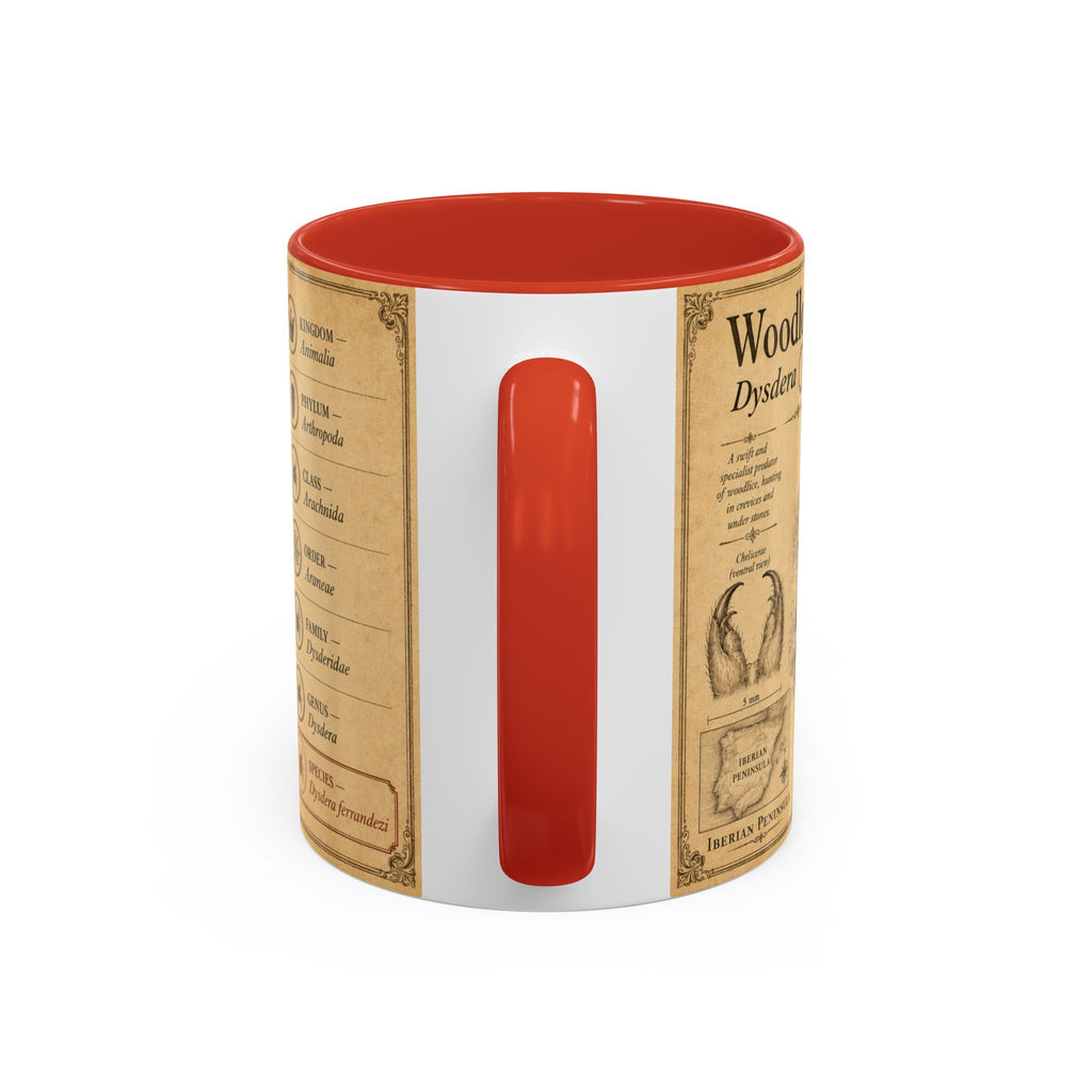 Custom Woodlouse-Hunting Spider Mug – Nature Lover's Gift for Ferran (Dysdera ferrandezi) – Europe/UK