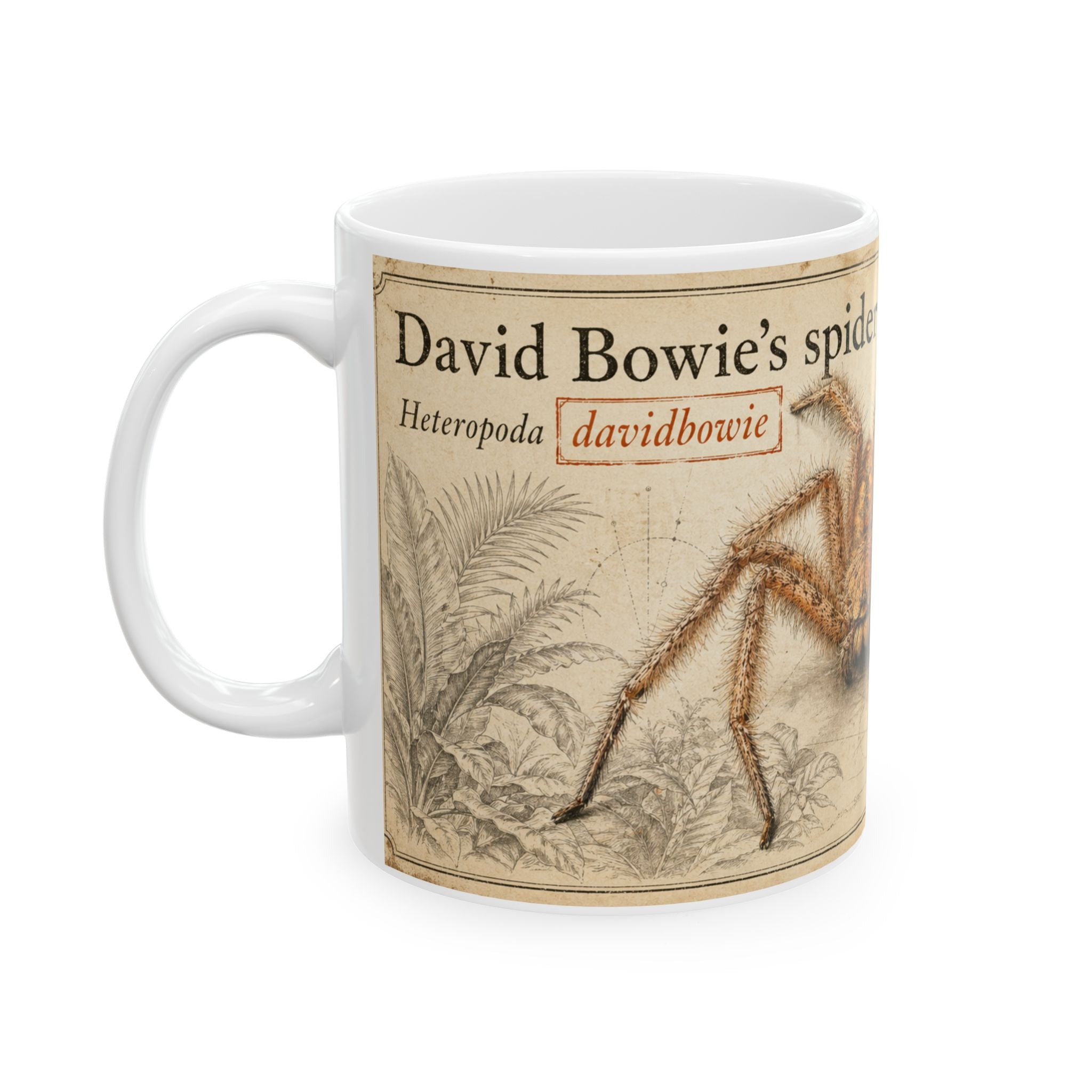 David Bowie's spider Illustration Ceramic Mug – Vintage Natural History David Bowie's spider (Heteropoda davidbowie) 11oz & 15oz