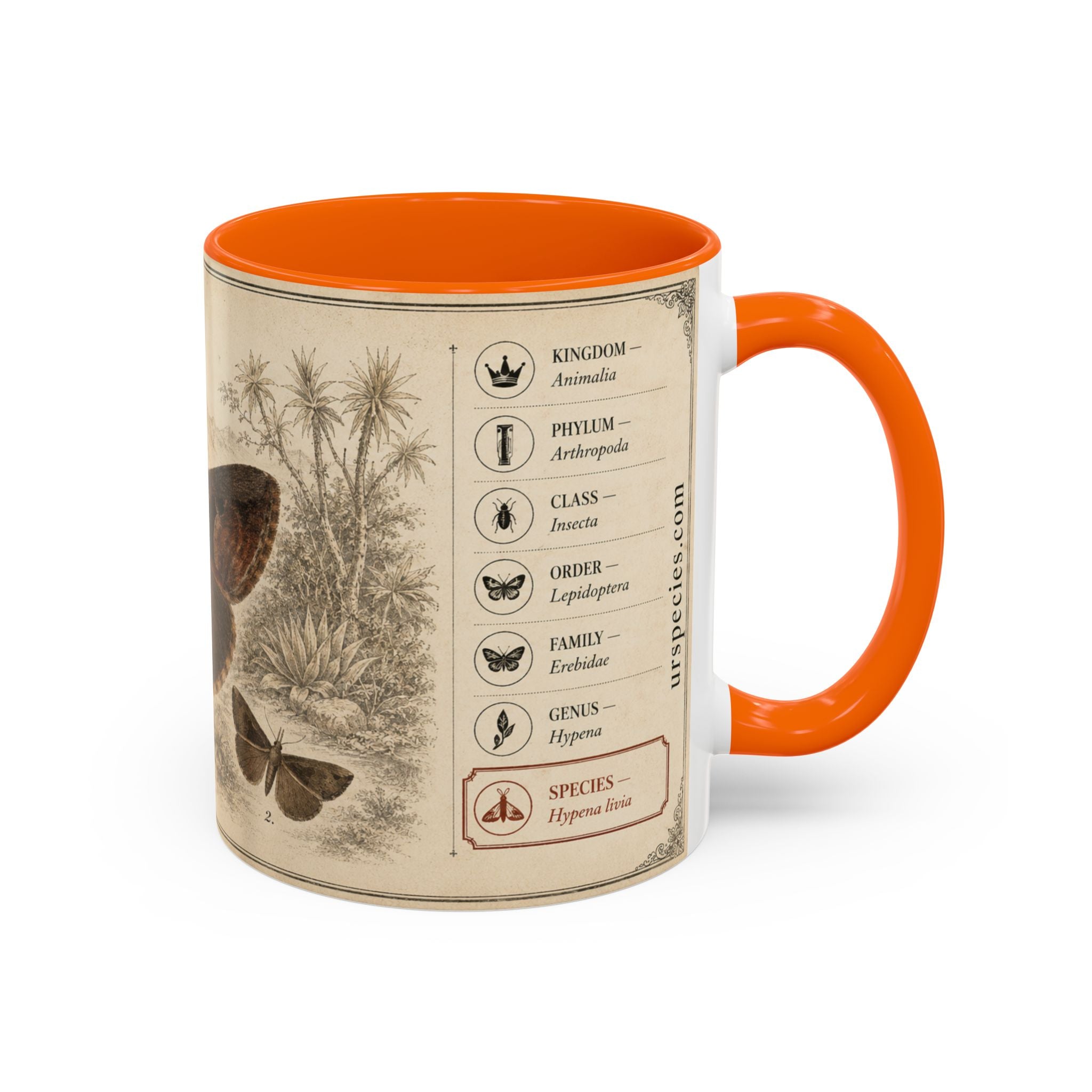 Custom Livia Snail Mug – Nature Lover's Gift for Livia (Hypena livia) – Europe/UK