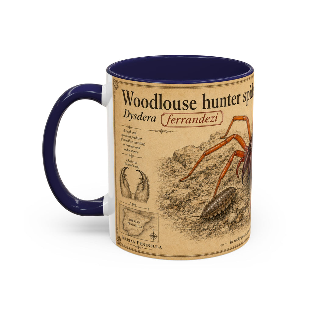 Custom Woodlouse-Hunting Spider Mug – Nature Lover's Gift for Ferran (Dysdera ferrandezi) – Europe/UK