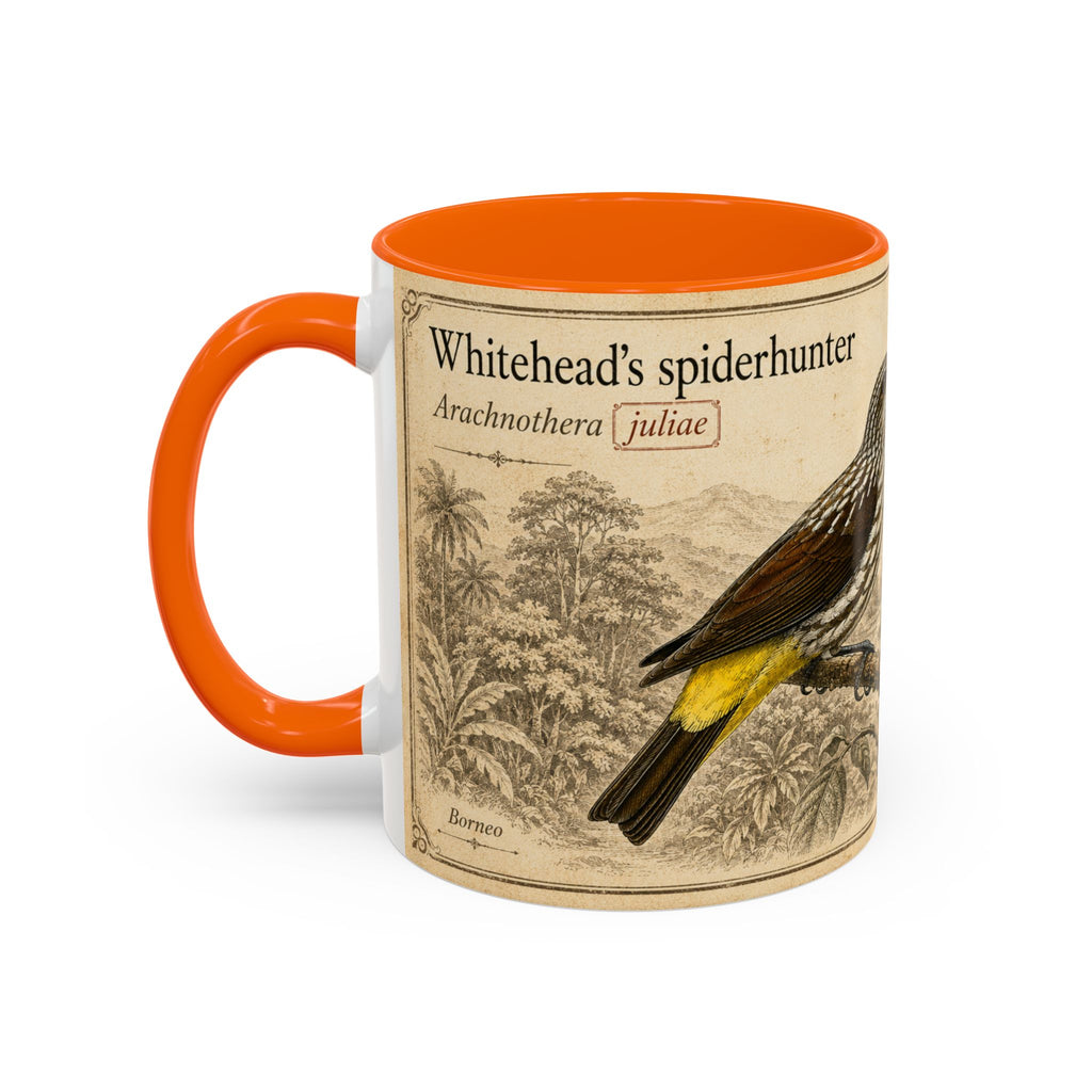 Custom Gift for Julia - Whitehead's spiderhunter (Arachnothera juliae) Nature Lovers Mug  - Europe / UK