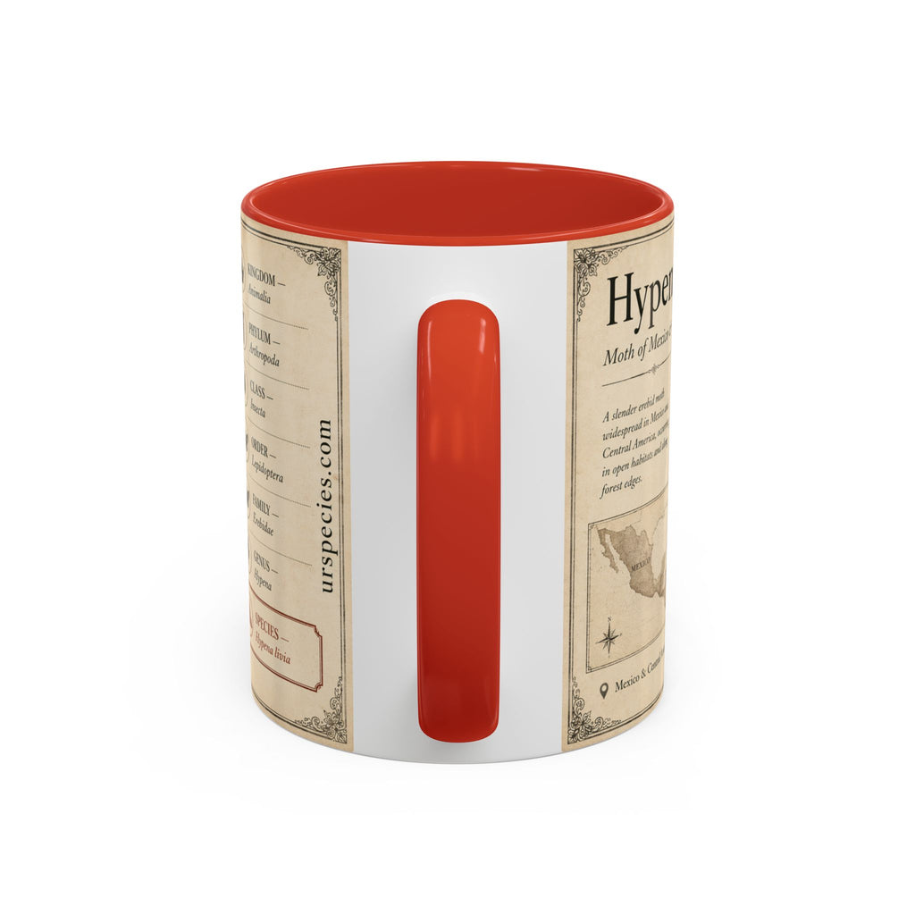 Custom Livia Snail Mug – Nature Lover's Gift for Livia (Hypena livia) – Europe/UK