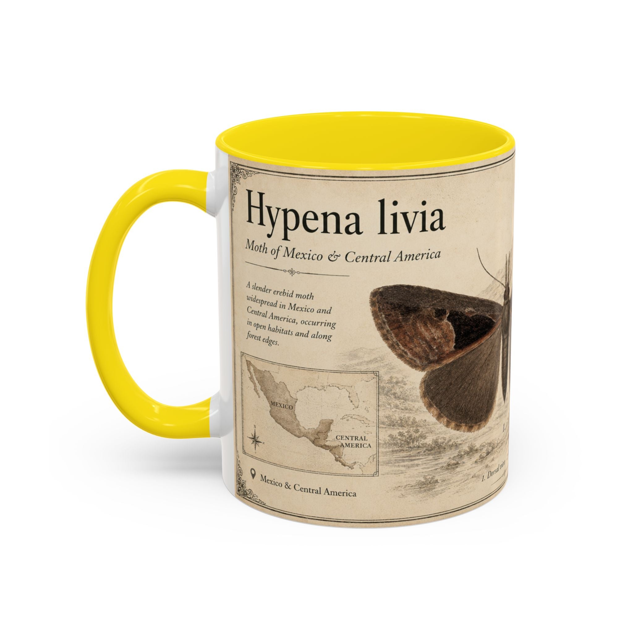 Custom Livia Snail Mug – Nature Lover's Gift for Livia (Hypena livia) – Europe/UK