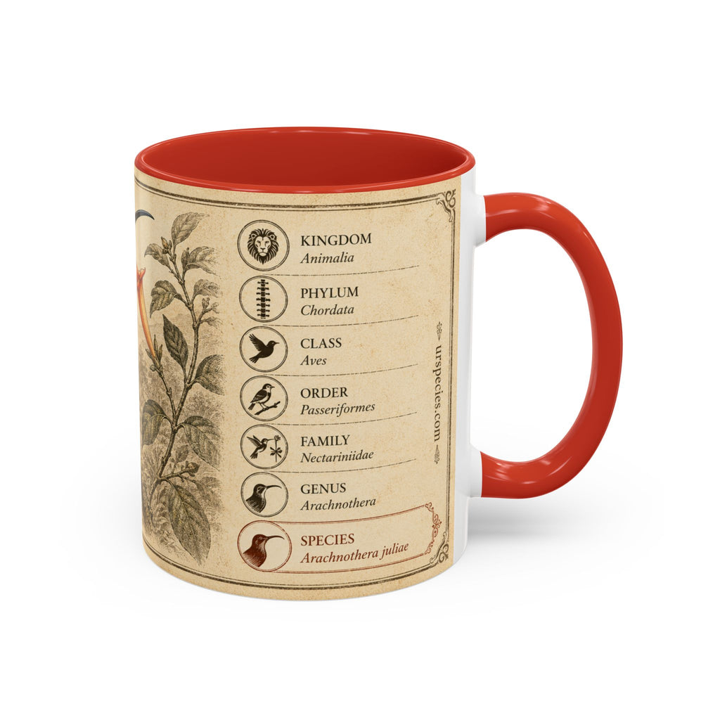 Custom Gift for Julia - Whitehead's spiderhunter (Arachnothera juliae) Nature Lovers Mug  - Europe / UK
