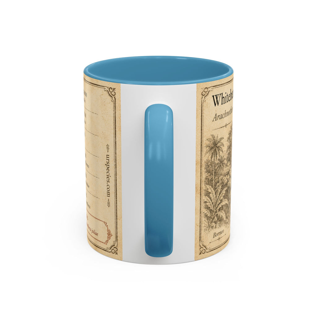 Custom Gift for Julia - Whitehead's spiderhunter (Arachnothera juliae) Nature Lovers Mug  - Europe / UK