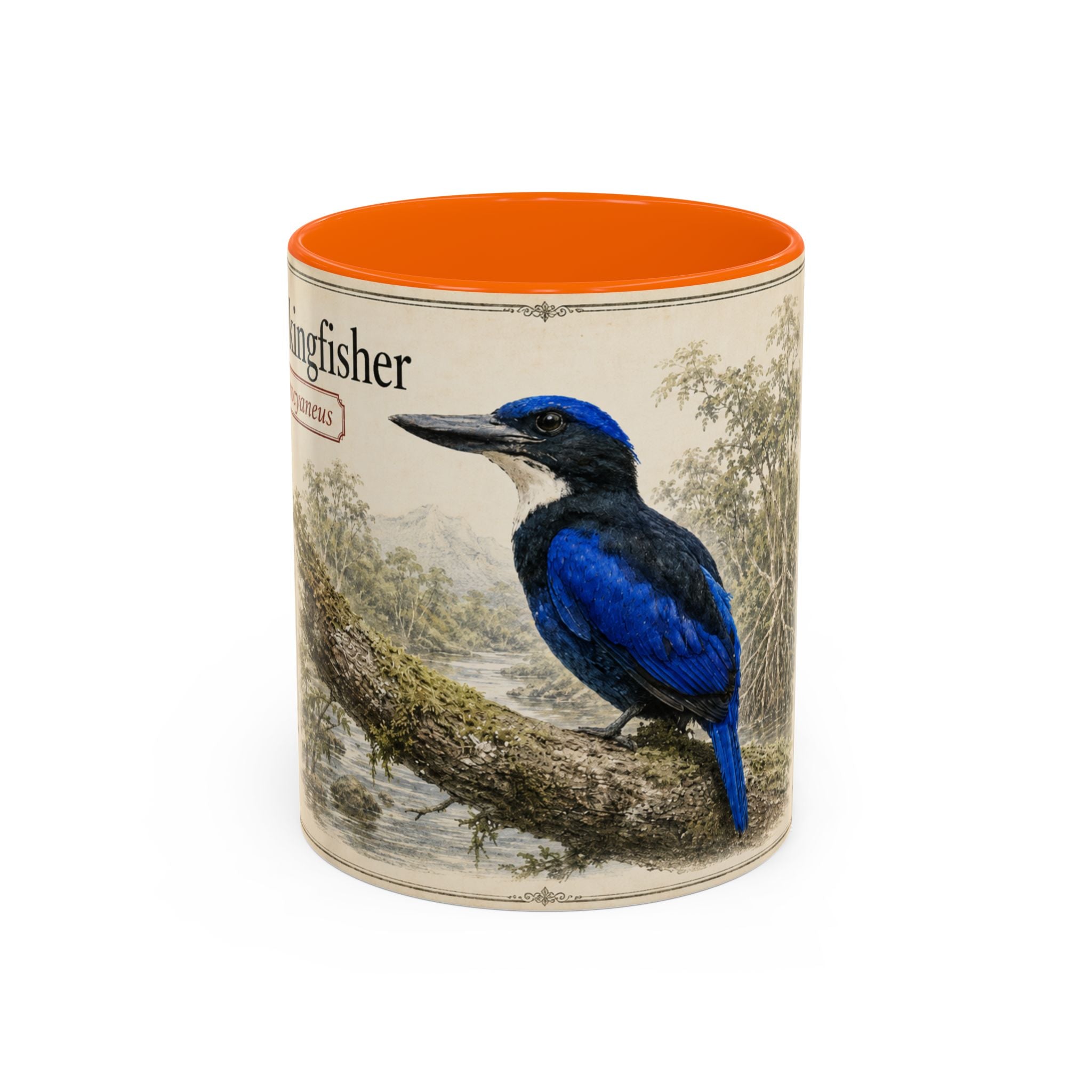 Copy of Custom Woodlouse-Hunting Spider Mug – Nature Lover's Gift for Ferran (Dysdera ferrandezi) – Europe/UK