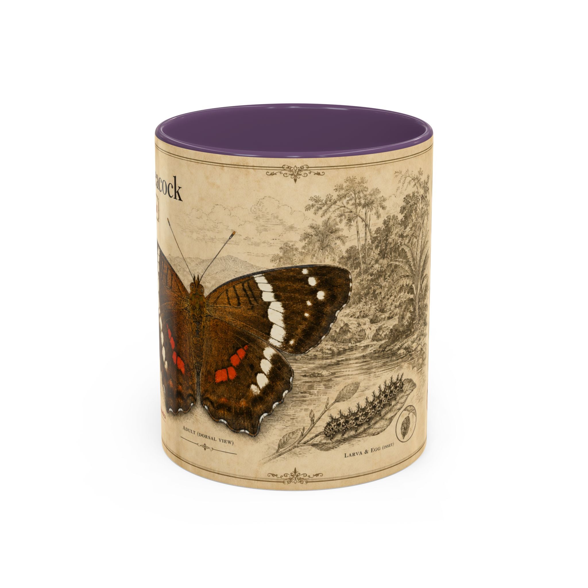 The banded peacock butterfly (Anartia fatima) Coffee Mug — Vintage Mug