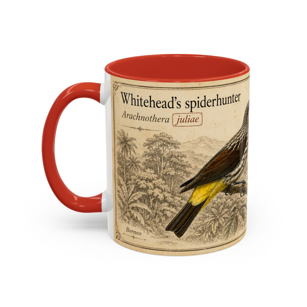 Custom Gift for Julia - Whitehead's spiderhunter (Arachnothera juliae) Nature Lovers Mug  - Europe / UK