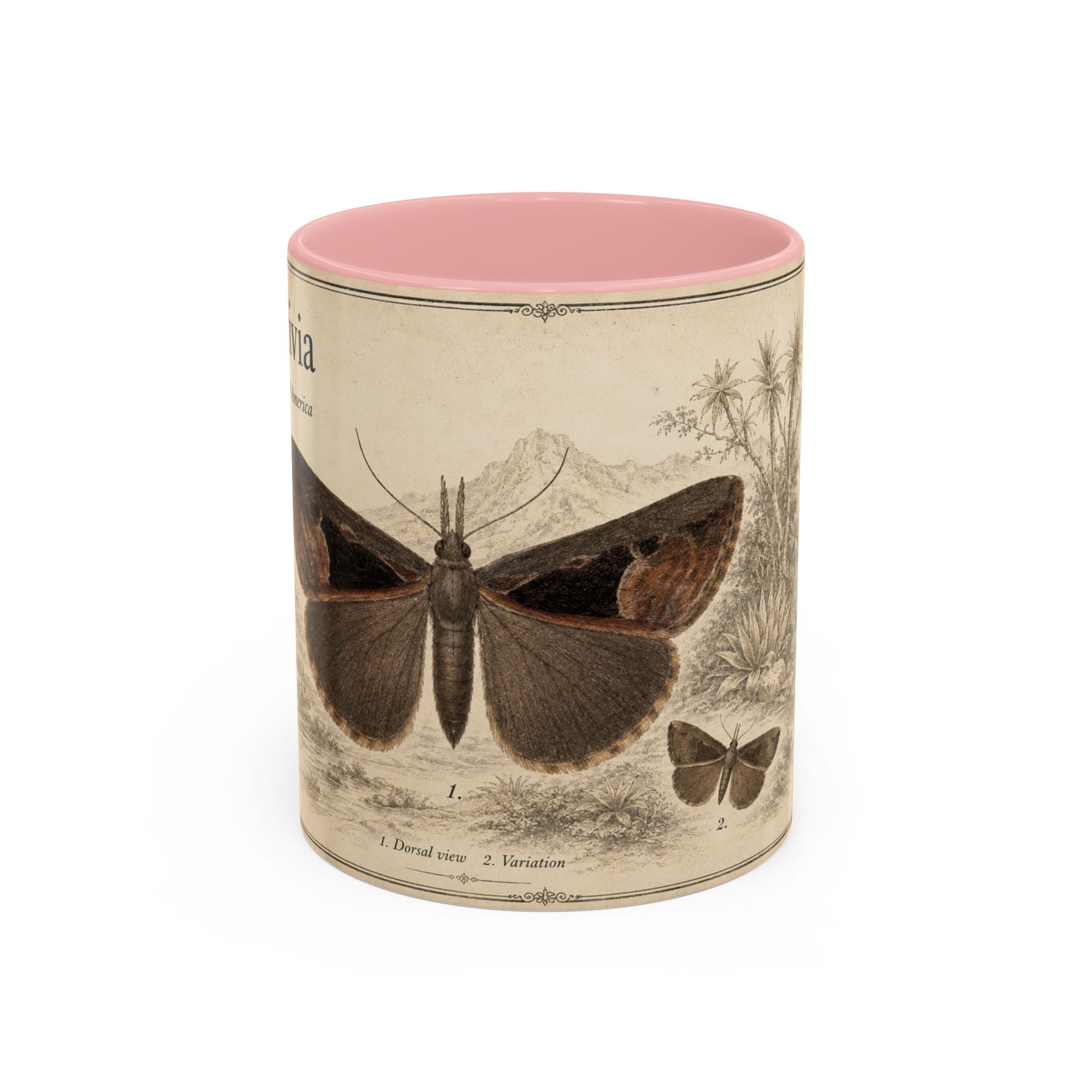 Custom Livia Snail Mug – Nature Lover's Gift for Livia (Hypena livia) – Europe/UK