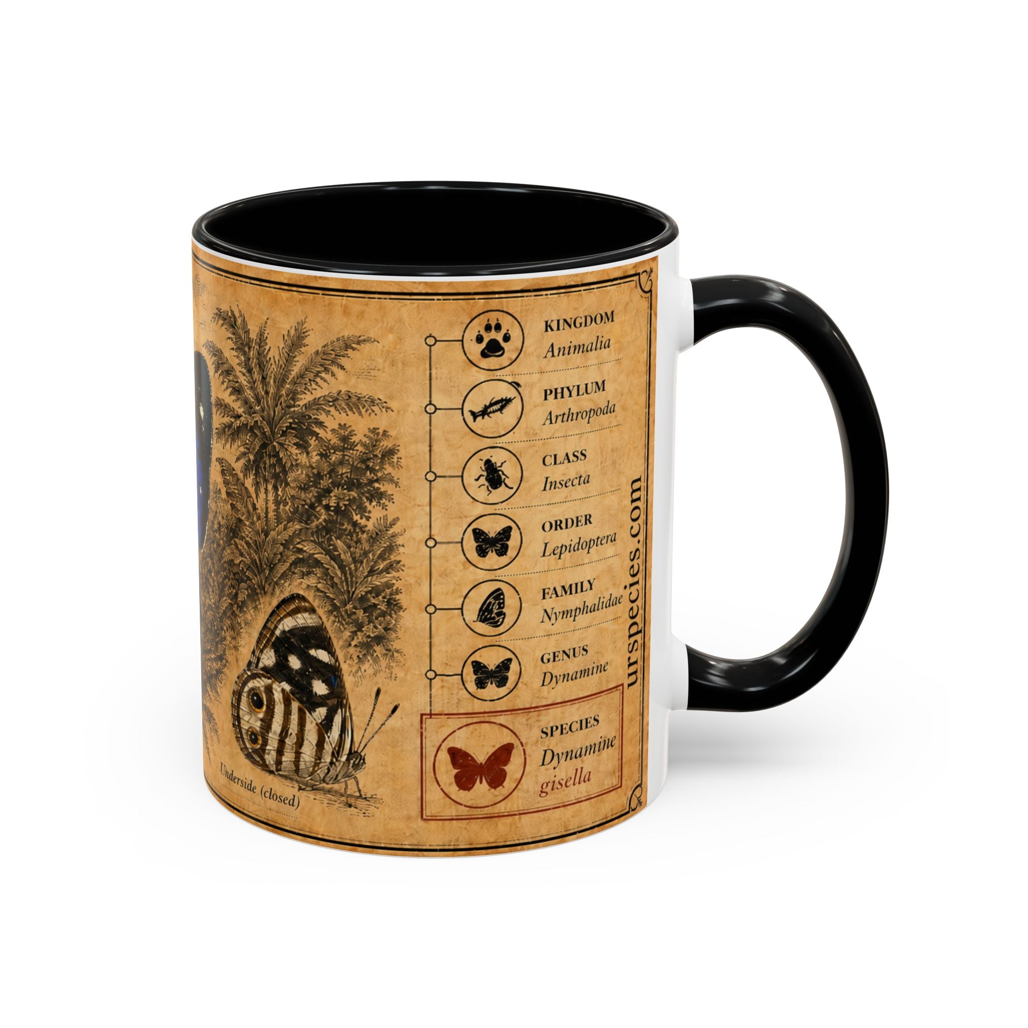 Gisella's Butterfly (Dynamine gisella) Coffee Mug — Vintage Blue Mug